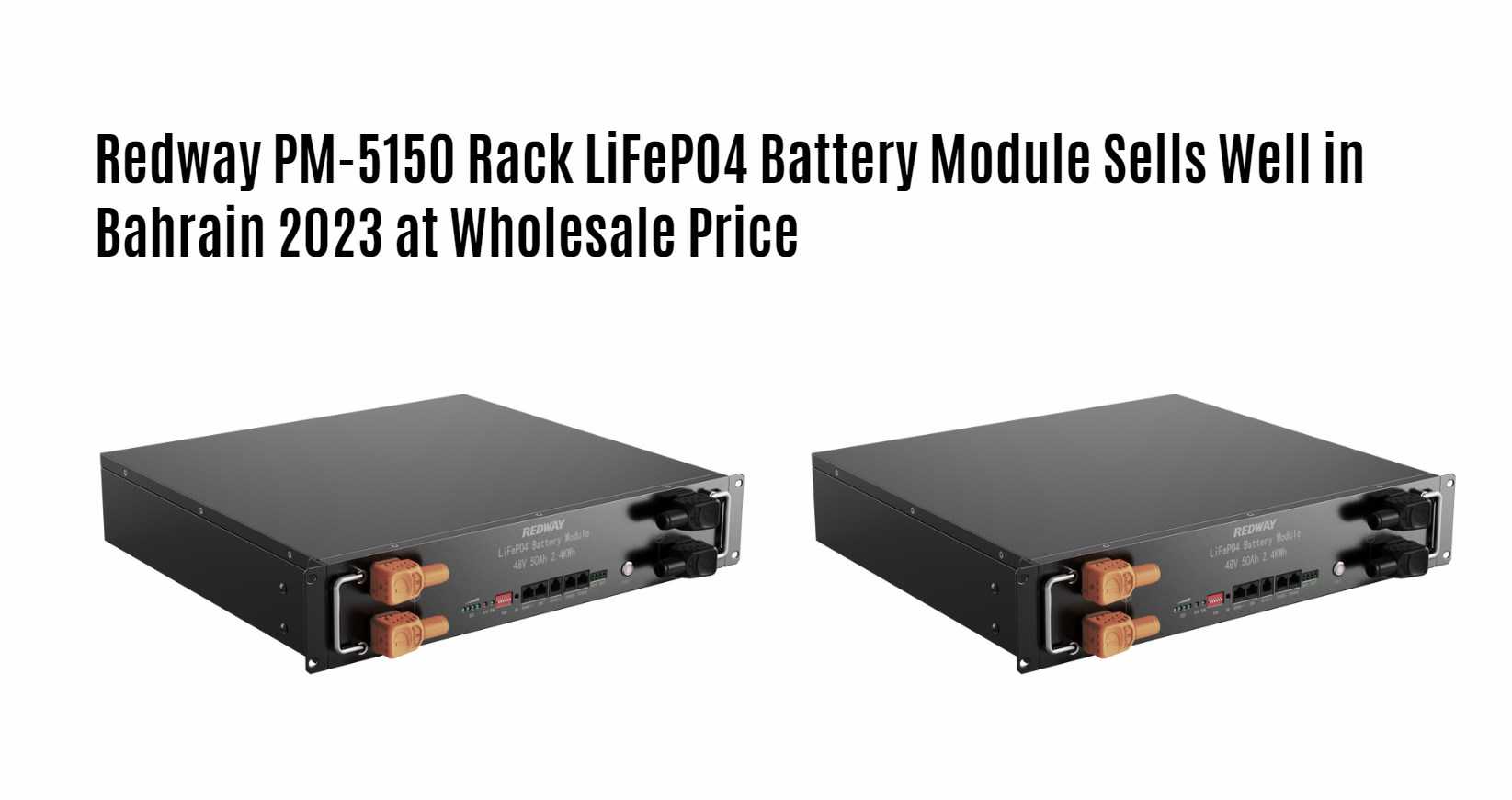 Redway PM-5150 Rack LiFePO4 Battery Module Sells Well in Bahrain 2023 at Wholesale Price. 51.2v 50ah server rack battery factory manufacturer oem 48v 50ah snmp