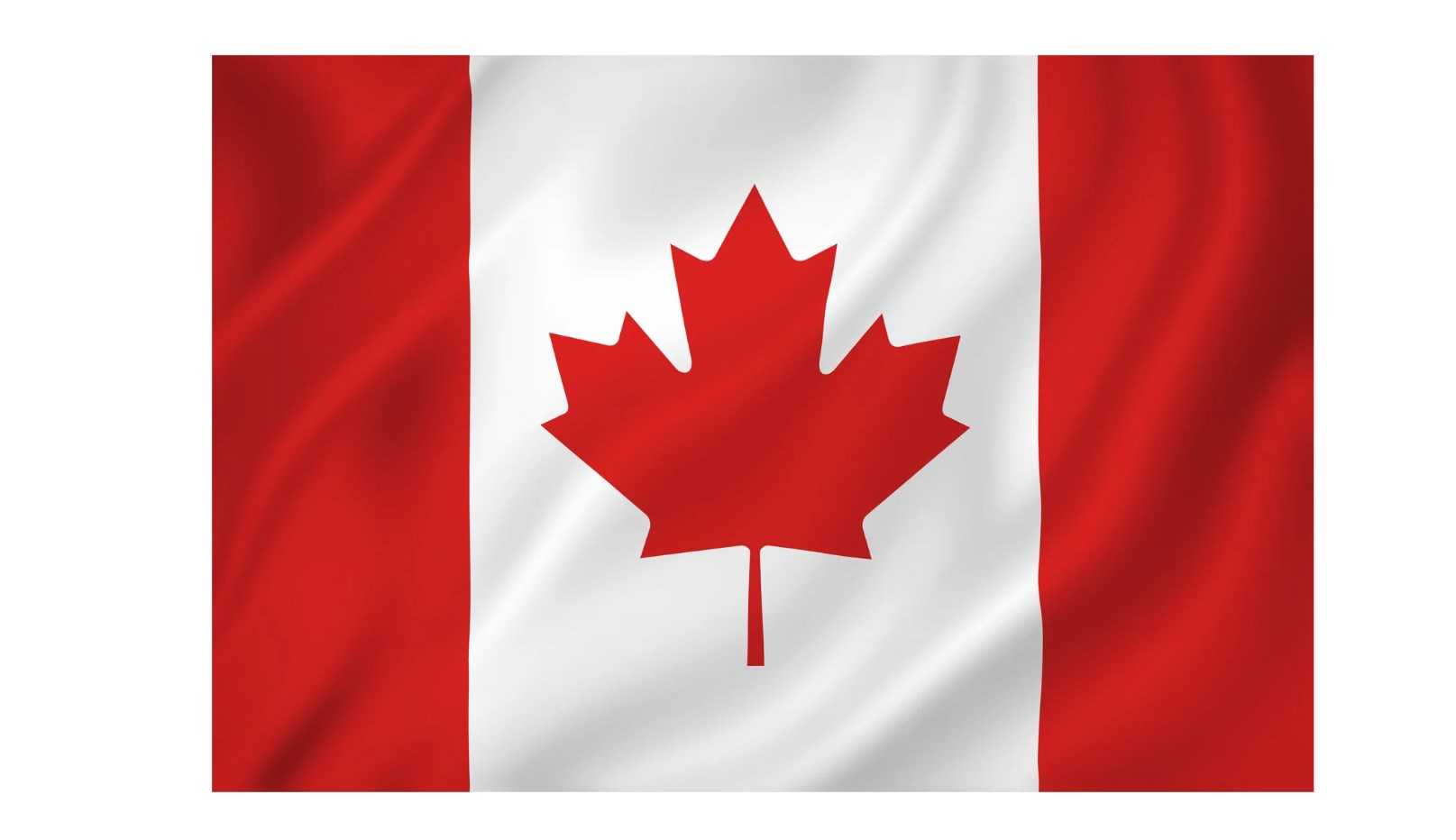 Case in Canada: The Lithium Iron Phosphate Battery Market Is Growing