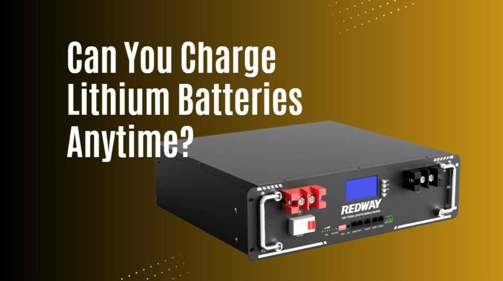 Can You Charge Lithium Batteries Anytime? Redway Battery (US)